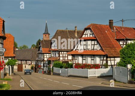 FRANKREICH, BAS-RHIN (67), OUTRE-FORET, DORF HUNSPACH (ZÄHLT ZU DEN SCHÖNSTEN DÖRFERN FRANKREICHS) Stockfoto