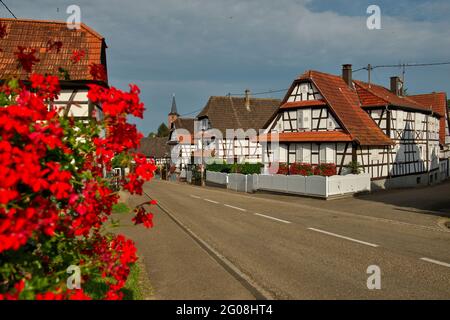 FRANKREICH, BAS-RHIN (67), OUTRE-FORET, DORF HUNSPACH (ZÄHLT ZU DEN SCHÖNSTEN DÖRFERN FRANKREICHS) Stockfoto