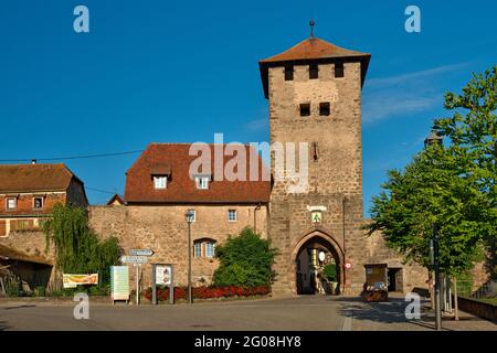 FRANKREICH, BAS-RHIN (67), DAMBACH-LA-VILLE, TURMTOR VON EBERSHEIM Stockfoto