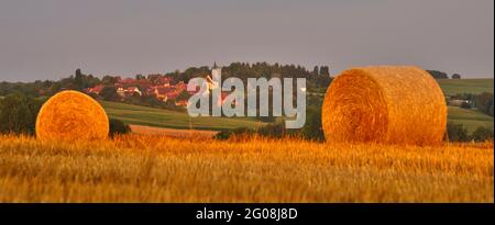 FRANKREICH, BAS-RHIN (67), OUTRE-FOR?T, HOFFEN, ZYLINDRISCHE STROHBALLEN UND HOHWILLER VILLAGE IM HINTERGRUND Stockfoto