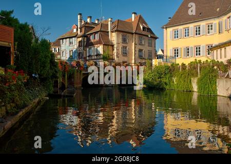 FRANKREICH, HAUT-RHIN (68), COLMAR, RUE TURENNE, LAUCH IM VIERTEL LITTLE VENICE Stockfoto