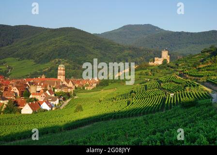 FRANKREICH. HAUT-RHIN (68). KAYSERSBERG DORF UND BURG Stockfoto