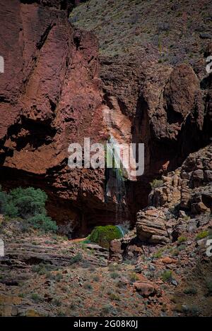 Der Wasserfall Ribbon Falls fließt in den hellen Angel Creek vor dem nördlichen kaibab Trail am Fuße des Grand Canyon, der am Ende des Wanderrands zum Rand des Zielortes liegt. Stockfoto