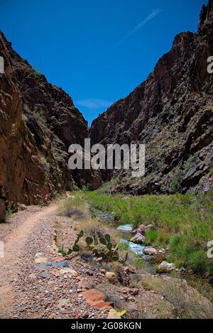 Blick auf den Talboden des Grand Canyon vom North Kaibab Bright Angel Trail entlang des Bright Angel Creek, der mit Frühlingsschnee in den colorado River mündet. Stockfoto