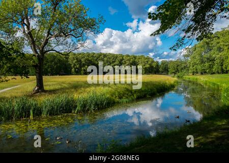 Teich und Gras an einem sonnigen Sommertag im Drottningholm Palace, Stockholm, Schweden Stockfoto