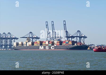 Das Containerschiff MSC Gaia dockte im Hafen von Felixstowe, Suffolk, Großbritannien, an. Stockfoto