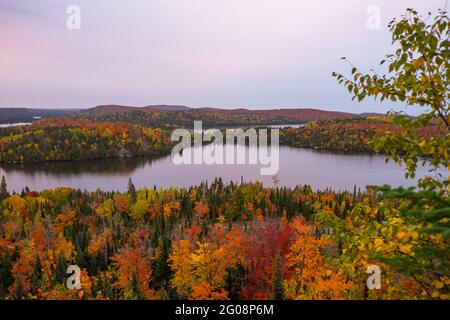 Herbstfarben entlang des Superior Hiking Trail am Caribou Lake, im Norden von Minnesota, USA Stockfoto