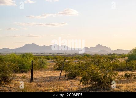 Silver Bell Mountains, Ironwood Forest National Monument, Süd-Arizona, USA, Sonnenuntergang im Frühling Stockfoto