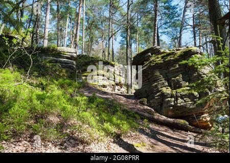 Naturschutzgebiet Skałki Piekło pod Niekłaniem, Woiwodschaft Świętokrzyskie, Polen Stockfoto