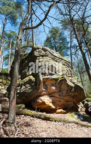 Naturschutzgebiet Skałki Piekło pod Niekłaniem, Woiwodschaft Świętokrzyskie, Polen Stockfoto