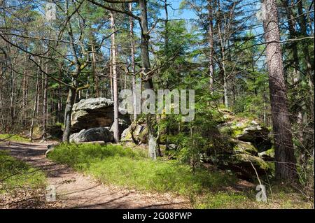 Naturschutzgebiet Skałki Piekło pod Niekłaniem, Woiwodschaft Świętokrzyskie, Polen Stockfoto