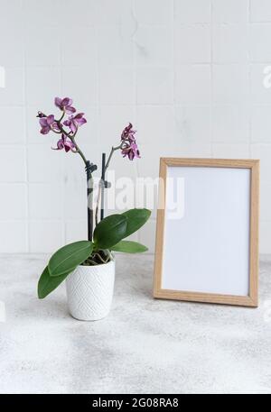 Nahaufnahme der purpurnen panaenopsis-Orchidee im Topf und Nachbau Posterrahmen auf dem Tisch Stockfoto