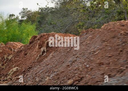 Riesiger Erdhaufen mit einem Waldbaum im Hintergrund Stockfoto