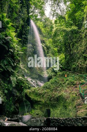 Natürlicher Blick auf einen Wasserfall in Los Tilos, la Palma, Kanarische Inseln in Spanien Stockfoto