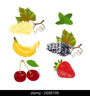 Saftige Früchte und Beeren isoliert auf weißem Hintergrund. Gesunde natürliche Nahrung. Eine Quelle von Vitaminen und Energie. Trauben, Kirschen, Erdbeeren, Minze Stock Vektor