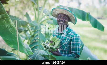 African Farmer mit Hut stehen in der Bananenplantage Feld.Landwirtschaft oder Anbaukonzept Stockfoto