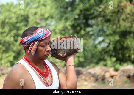 LANJIA SAORA STAMM. Tribal-Künstler sammeln roten Schlamm für die Herstellung Idital Malerei. Idital Gemälde sind mit Reispulver auf einem Hintergrund von roten Ochsen gemacht Stockfoto