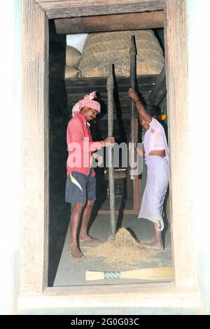 LANJIA SAORA STAMM. Dorfpaar fräst und schält Reis in ihrem Haus. Gunpur Village of Odisha, Indien Stockfoto