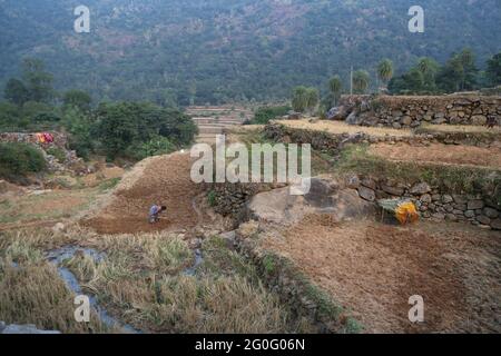 LANJIA SAORA STAMM, Terrassenfelder für den Anbau von Reisfeldern verwendet. In der Nähe Puttasingh Dorf Odisha, Indien. Terrassenanbau ist als Sarabs bekannt. Gunpu Stockfoto