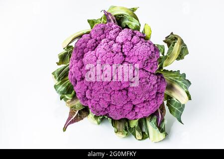 Lila Blumenkohl auf weißem Hintergrund. Sommer Gemüse Hintergründe. Stockfoto