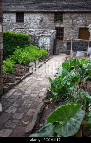 Garten aus dem frühen 19. Jahrhundert mit einem Pfad, umgeben von einem Gemüseanbau mit einem alten Steinhaus im Hintergrund Stockfoto