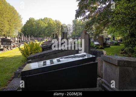 Die Abbildung zeigt den Friedhof Westerbegraafplaats in Gent, Mittwoch, 02. Juni 2021. Vor etwa zwei Wochen wurde ein 14-jähriges Mädchen Opfer Stockfoto