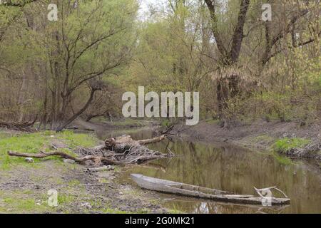 Blick auf einen kleinen Fluss im Wald mit Bäumen am Ufer und einem teilweise untergetauchten Boot Stockfoto