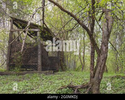 Eine alte Scheune mit Heu im Wald Stockfoto