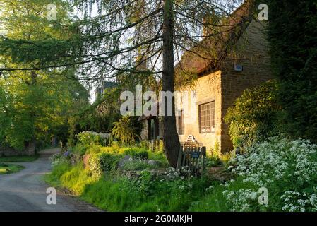 Sonnenaufgang über einem strohgedeckten Häuschen im Dorf Ledwell, Oxfordshire, England. Stockfoto