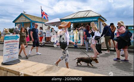 Brighton UK 2. Juni 2021 - EINE Dame in einem großen Sonnenhut geht mit ihrem Hund entlang der Küste von Brighton, während die Massen einen weiteren heißen Tag genießen und das warme Wetter in Teilen Großbritanniens weitergeht : Credit Simon Dack / Alamy Live News Stockfoto