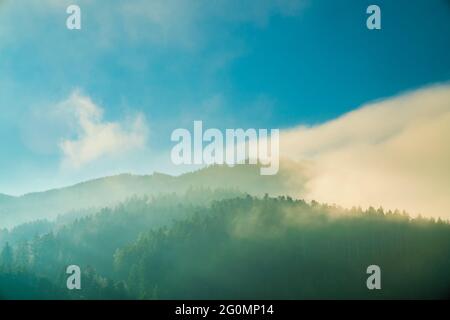 Deutschland, Foggy mystische Waldpanorama von endlosen Bäumen bedeckten Bergen in nebliger Morgenatmosphäre mit Sonnenlicht Stockfoto