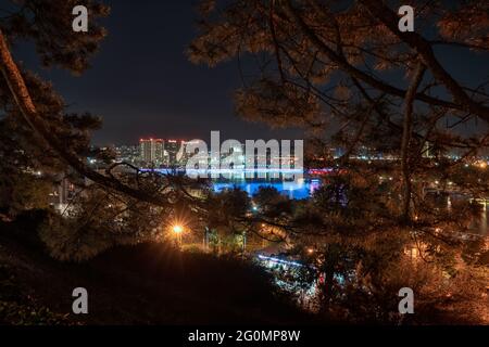 Nachtpanorama der Belgrader Uferpromenade von der Festung Kalemegdan Stockfoto