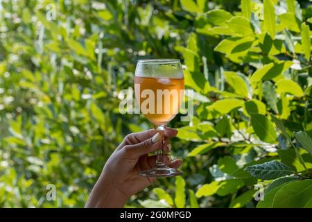 Frau mit weißem Nagellack, die ein Glas kalten Aperol Spritz hält Stockfoto