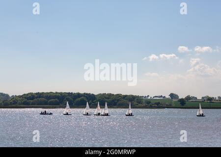 Woodbridge, Suffolk, Großbritannien Mai 29 2021: Ein lokaler Segelclub auf dem Fluss Deben übt an einem warnten sonnigen Sommertag Stockfoto