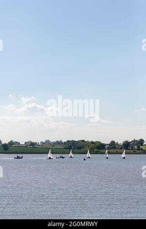 Woodbridge, Suffolk, Großbritannien Mai 29 2021: Ein lokaler Segelclub auf dem Fluss Deben übt an einem warnten sonnigen Sommertag Stockfoto