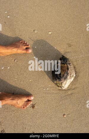 Menschliche Füße fühlen die Natur isoliert am Sandstrand und zeigen die menschliche Liebe zur Natur. Der wahre Ausdruck des menschlichen Lebens. Stockfoto