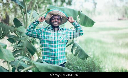 African Farmer mit Hut stehen in der Bananenplantage Feld.Landwirtschaft oder Anbaukonzept Stockfoto