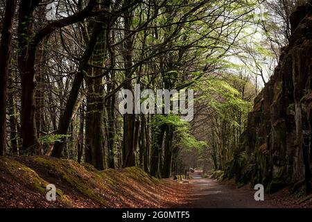 Sheep Pasture Incline, Derbyshire Peak District, England, Großbritannien Stockfoto