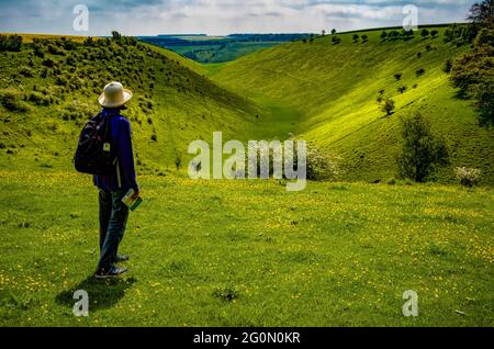 Holm Dale führt zu Horse and Harper Dales, Yorkshire Wolds, Großbritannien Stockfoto