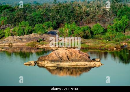 Schöner Panna-Fluss und felsiges Flussbett im Panna-Nationalpark, Madhya Pradesh, Indien. Es befindet sich in den Bezirken Panna und Chhatarpur von Madhya Prad Stockfoto