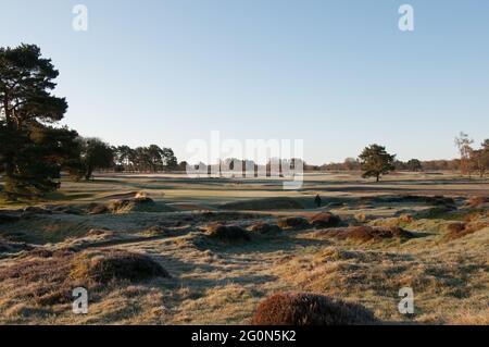 Blick vom 2. Tee auf den New Course an einem frostigen frühen Morgen und Blick auf beide Golfplätze, Walton Heath Golf Club, Walton-on-the-Hill, Surrey, England Stockfoto