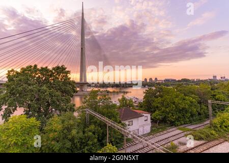 Ada-Brücke über den Fluss Sava in Belgrad bei Sonnenuntergang Stockfoto