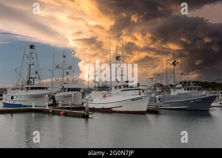 Fischerboote in Tuna Harbor in San Diego, Kalifornien Stockfoto