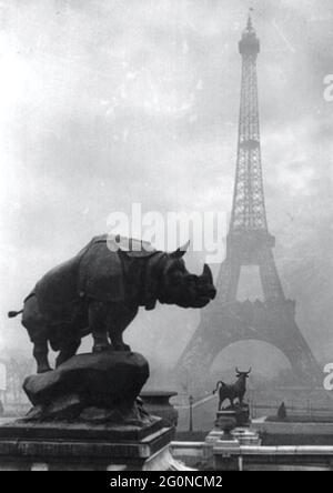 Jean Pierre Yves Petit Foto des Eiffelturms in Paris. Das rhinocéros ist eine Skulptur von Henri Alfred Jacquemart aus dem Jahr 1878, eine lebensgroße Darstellung. Stockfoto