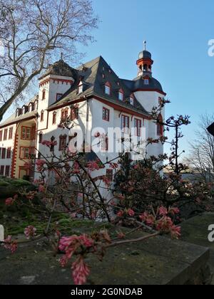 Frühling in der historischen Altstadt von Koblenz, Rheinland-Pfalz, Deutschland. Frühling in der Altstadt von Koblenz, Rheinland-Pfalz. Stockfoto