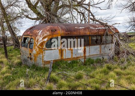 Alter und rostiger Schulbus, geparkt in der Geisterstadt Ardmore, South Dakota, USA [Keine Eigentumsfreigabe; nur zur redaktionellen Lizenzierung verfügbar] Stockfoto