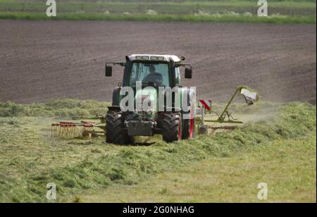 Heuschrecke: Traktor mit Zettwender, der gemähtes Gras schüttelt Stockfoto