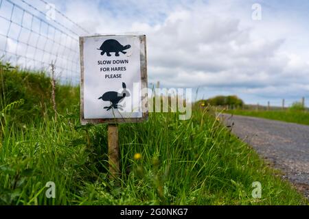 Schild neben eingleisigen Straßenwarnung auf Anwesenheit von Hasen, Islay, innere Hebriden, Schottland, Großbritannien Stockfoto