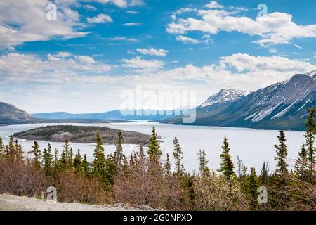 Bove Island und Tagish Lake mit schneebedeckten Bergen im Hintergrund in Yukon, Kanada Stockfoto