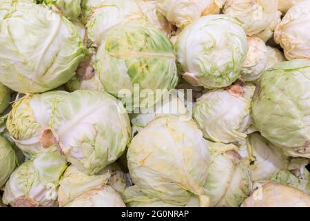 Vollformat-Kohl in einem Lebensmittelgeschäft, Hintergrund und Textur Stockfoto